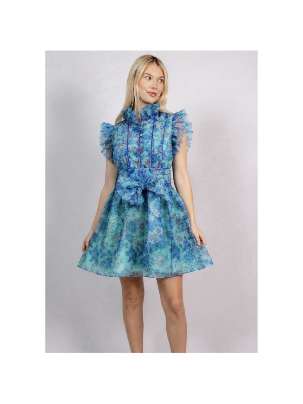 Sue Sartor Floral Silk Organza Ruffle Sleeve Mini Dress XL